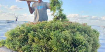 Kementerian Kelautan dan Perikanan (KKP) terus meningkatkan pelaksanaan program kampung budidaya