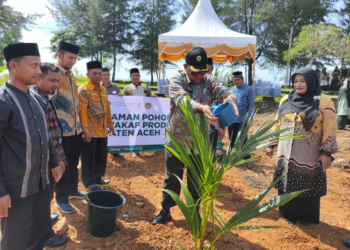 Agar Tetap Produktif, Kakanwil Kemenag Aceh Tanam Pohon di Tanah Wakaf