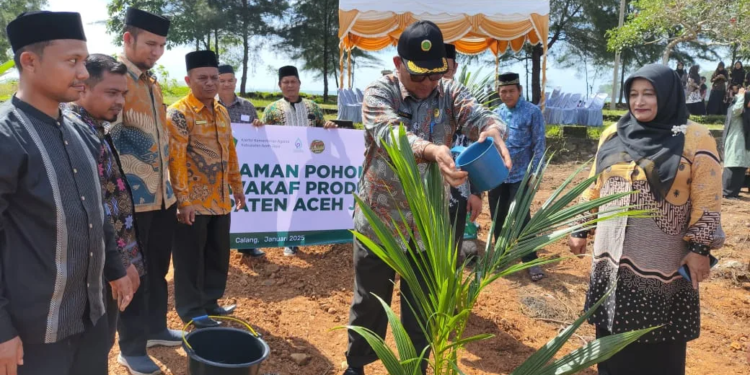 Agar Tetap Produktif, Kakanwil Kemenag Aceh Tanam Pohon di Tanah Wakaf