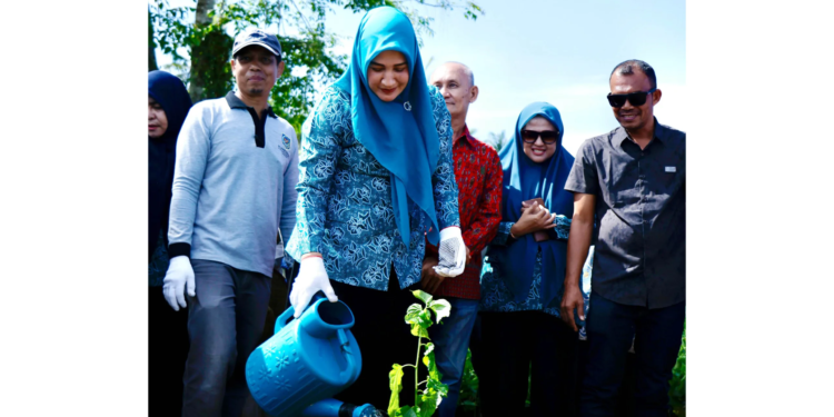 Dukung Hidupkan Kembali Industri Sutera Aceh, Ketua Dekranasda Tanam Murbei