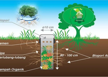 Rumah Bebas Banjir, Sampahpun Berkurang: Keajaiban Biopori di Halaman Keluarga
