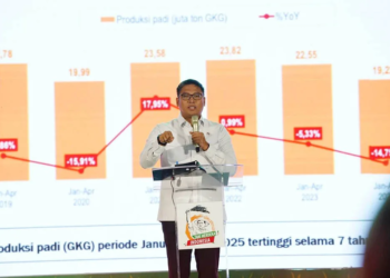 Wakil Menteri Pertanian Sudaryono