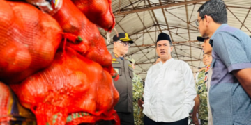 Menteri Pertanian (Mentan) Andi Amran Sulaiman