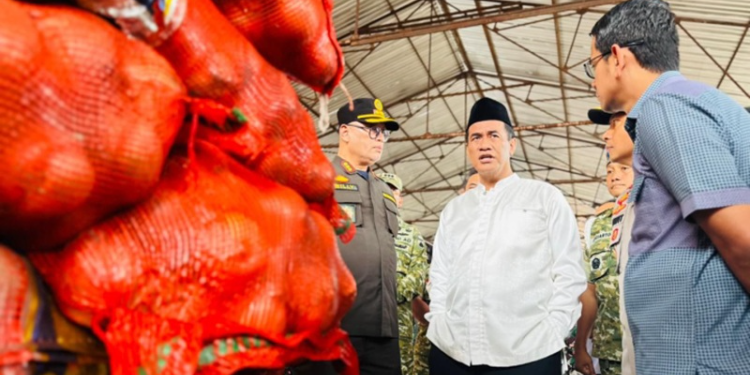 Menteri Pertanian (Mentan) Andi Amran Sulaiman