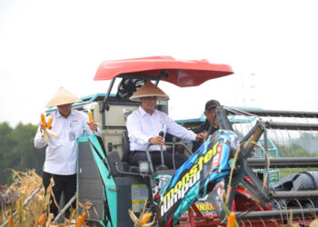 Mentan Amran: Swasembada Jagung Jadi Instrumen Cegah Kemiskinan dan Kejahatan