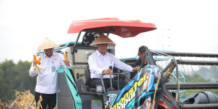 Mentan Amran: Swasembada Jagung Jadi Instrumen Cegah Kemiskinan dan Kejahatan