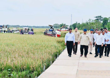 Presiden Prabowo Hadiri Panen Raya dan Umumkan Swasembada Pangan