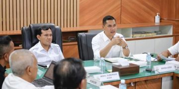 Pemerintah Aceh Sertakan Para Guru Besar Bahas Perubahan UUPA