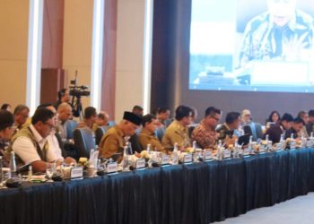 Mualem Minta DPR RI Percepat Anggaran Rehabilitasi 2026–2028