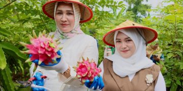 Kak Na : Buah Naga Sabang, Meucrop Barang