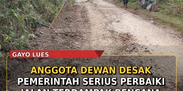 Anggota Dewan Gayo Lues Desak Pemerintah Aceh dan Kabupaten Serius Perbaiki Jalan Terdampak Bencana