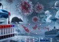 Hantavirus Terdeteksi di Indonesia, Seberapa Berbahaya bagi Masyarakat?