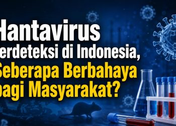 Hantavirus Terdeteksi di Indonesia, Seberapa Berbahaya bagi Masyarakat?