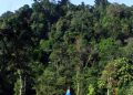 Foto asli kawasan hutan Gunung Leuser di Sumatra sebagai ilustrasi isu lingkungan tambang Beutong Ateuh