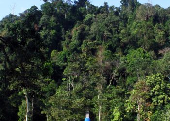 Foto asli kawasan hutan Gunung Leuser di Sumatra sebagai ilustrasi isu lingkungan tambang Beutong Ateuh