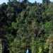 Foto asli kawasan hutan Gunung Leuser di Sumatra sebagai ilustrasi isu lingkungan tambang Beutong Ateuh