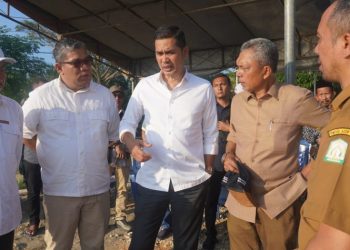 Sekda Aceh Tinjau Rehabilitasi Sawah di Aceh Timur, Dorong Percepatan Pemulihan Sektor Pertanian