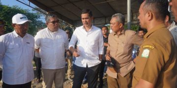 Sekda Aceh Tinjau Rehabilitasi Sawah di Aceh Timur, Dorong Percepatan Pemulihan Sektor Pertanian
