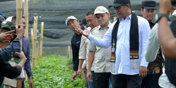 Mentan Apresiasi Kinerja Pemerintah Aceh, Janji Terus Dukung Pengembangan Pertanian dan Kopi Gayo