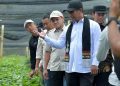 Menteri Pertanian Republik Indonesia, Andi Amran Sulaiman, saat meninjau lokasi produksi benih kopi arabika di Kecamatan Pintu Rime Gayo, Kabupaten Bener Meriah, Selasa (14/7/2026).