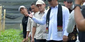Menteri Pertanian Republik Indonesia, Andi Amran Sulaiman, saat meninjau lokasi produksi benih kopi arabika di Kecamatan Pintu Rime Gayo, Kabupaten Bener Meriah, Selasa (14/7/2026).