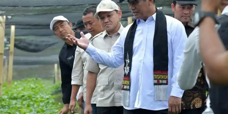 Menteri Pertanian Republik Indonesia, Andi Amran Sulaiman, saat meninjau lokasi produksi benih kopi arabika di Kecamatan Pintu Rime Gayo, Kabupaten Bener Meriah, Selasa (14/7/2026).