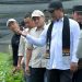 Menteri Pertanian Republik Indonesia, Andi Amran Sulaiman, saat meninjau lokasi produksi benih kopi arabika di Kecamatan Pintu Rime Gayo, Kabupaten Bener Meriah, Selasa (14/7/2026).
