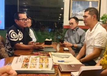 Sekda Aceh dan PLN Pusat Bahas Prospek Pengembangan Pembangkit Listrik Tenaga Surya (PLTS) di Aceh