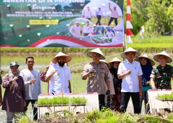 Pemerintah Aceh Jelaskan Posisi Bantuan Kementan untuk Pemulihan Sawah dan Kebun