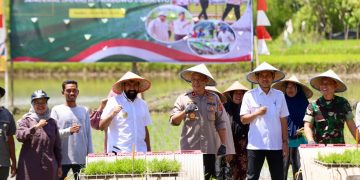 Pemerintah Aceh Jelaskan Posisi Bantuan Kementan untuk Pemulihan Sawah dan Kebun