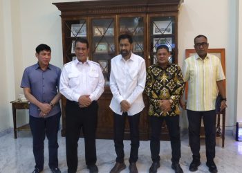 Gubernur Mualem Minta Dukungan Mentan Pulihkan Sawah dan Perkebunan Aceh Pascabencana