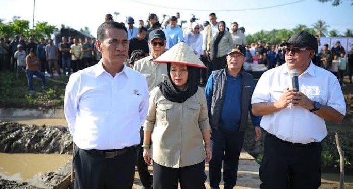 Pemerintah Aceh Jelaskan Posisi Bantuan Kementan untuk Pemulihan Sawah dan Kebun