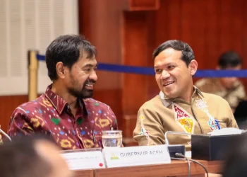 Revisi UUPA Jadi Usul Inisiatif Dewan, Mualem-Dek Fadh Apresiasi DPRI-RI