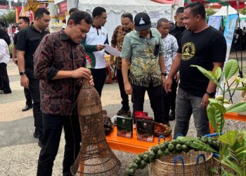 Wagub Aceh Kunjungi Hampir Semua Stand Expo UMKM Pidie, Belanja Produk Lokal