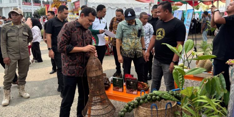 Wagub Aceh Kunjungi Hampir Semua Stand Expo UMKM Pidie, Belanja Produk Lokal
