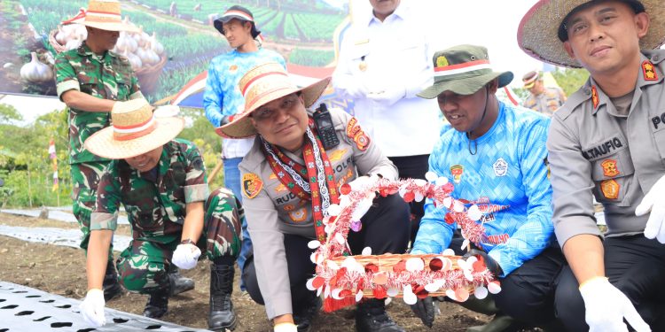 Kapolda Aceh Tanam Bawang Putih, Perkuat Program Swasembada Pangan Nasional