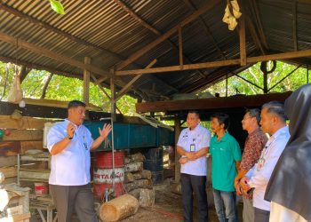 Pelindungan Indikasi Geografis Didorong Perkuat Nilai Ekonomi Nilam Aceh