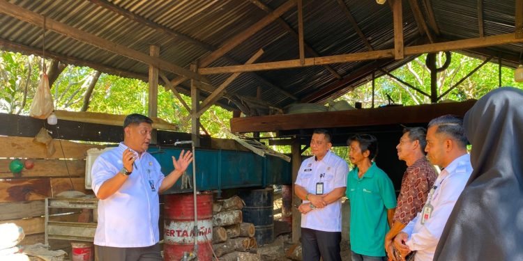 Pelindungan Indikasi Geografis Didorong Perkuat Nilai Ekonomi Nilam Aceh