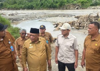Tinjau D.I. Seunong, Wagub Dek Fadh Dorong Perbaikan Segera