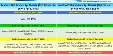 Realisasi Anggaran Tambahan TKD Aceh 2026 Capai Rp 621,96 Miliar, Publik Dapat Pantau Langsung Lewat Portal P2K